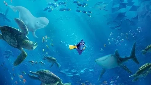 Đi Tìm Dory - Ảnh 2