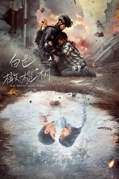 Cây Ô Liu Màu Trắng